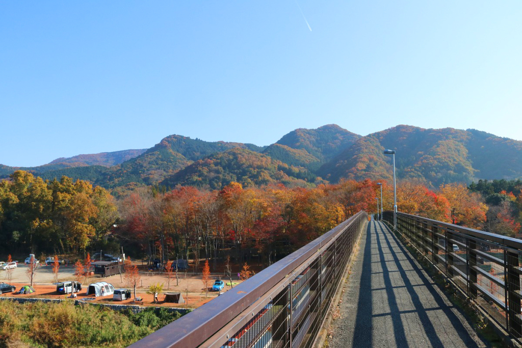 金石水管橋紅葉の画像