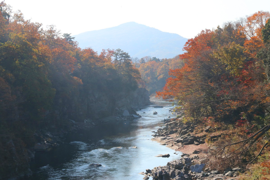 金石水管橋紅葉の画像