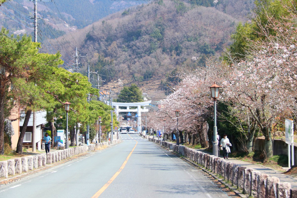 宝登山参道桜並木の画像