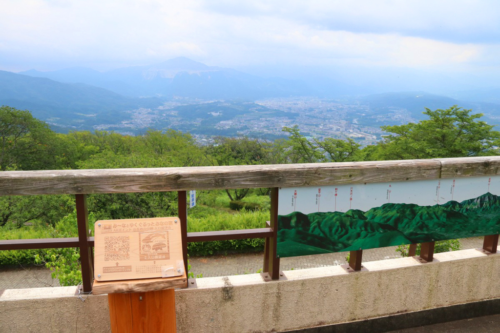 美の山アジサイの画像