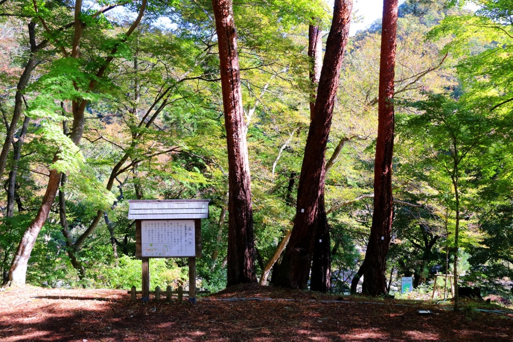 月の石もみじ公園の画像