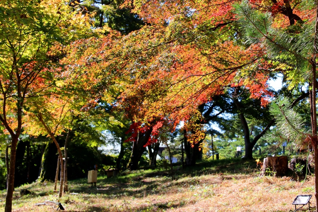 月の石もみじ公園の画像