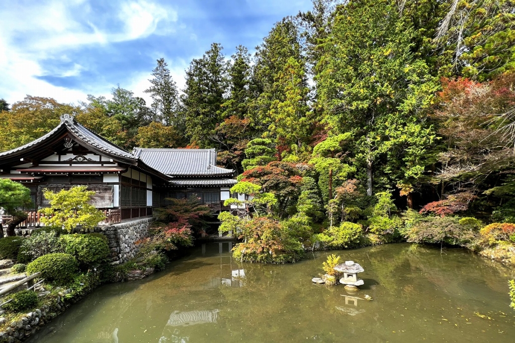 寶登山神社周辺の紅葉画像