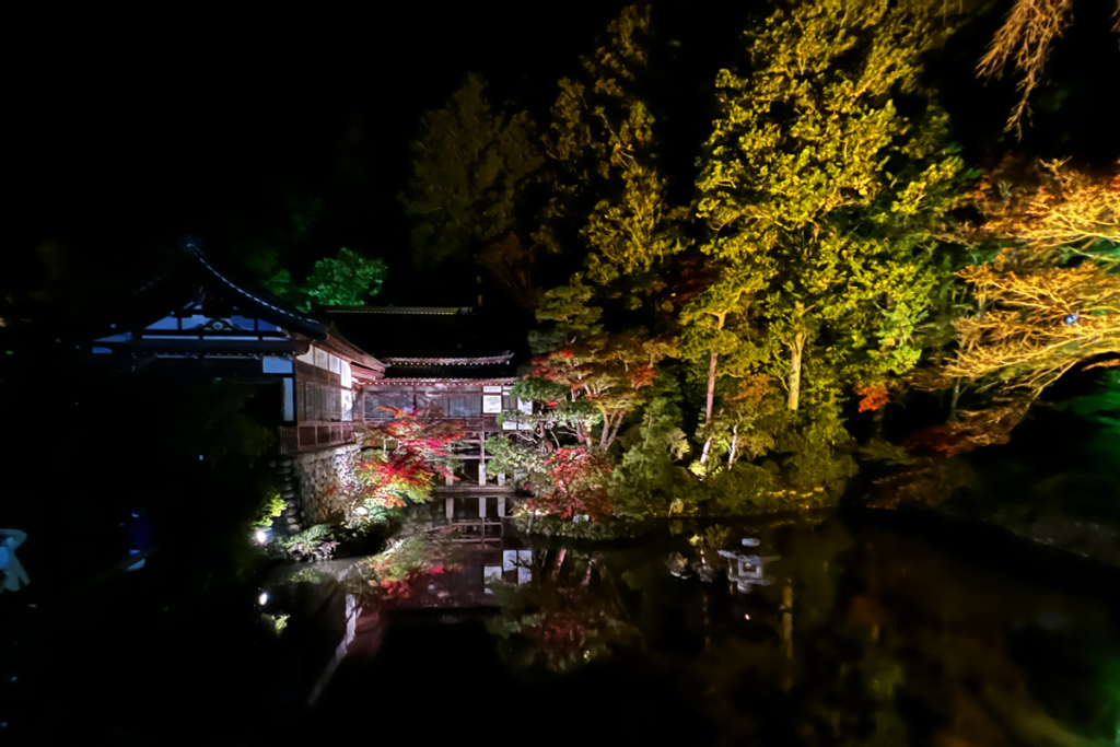 寶登山神社紅葉ライトアップの画像