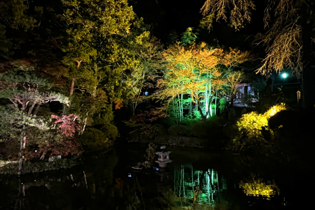 寶登山神社紅葉ライトアップの画像