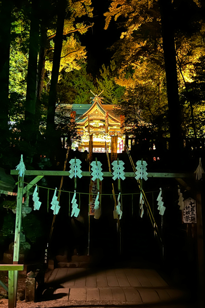 寶登山神社紅葉ライトアップの画像