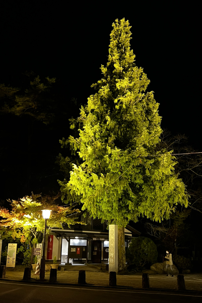 寶登山神社紅葉ライトアップの画像