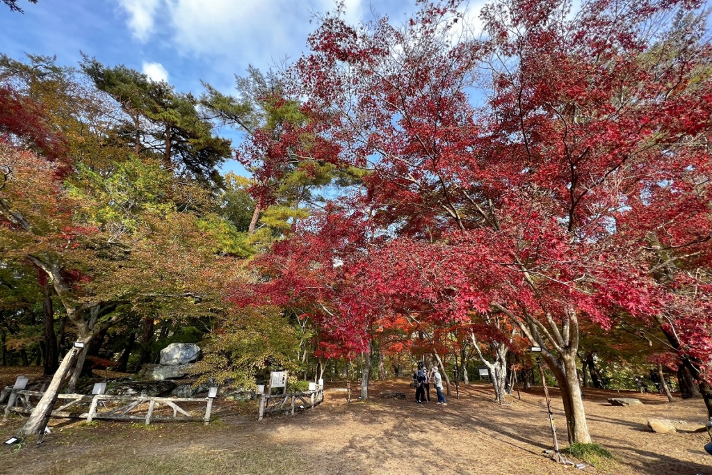 月の石もみじ公園の画像