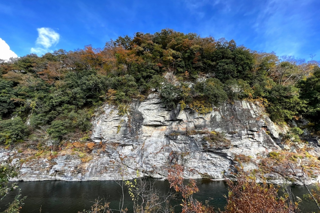 岩畳周辺紅葉の画像