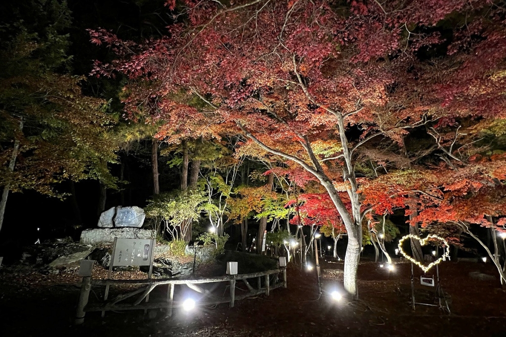 長瀞月の石もみじ公園紅葉ライトアップの画像