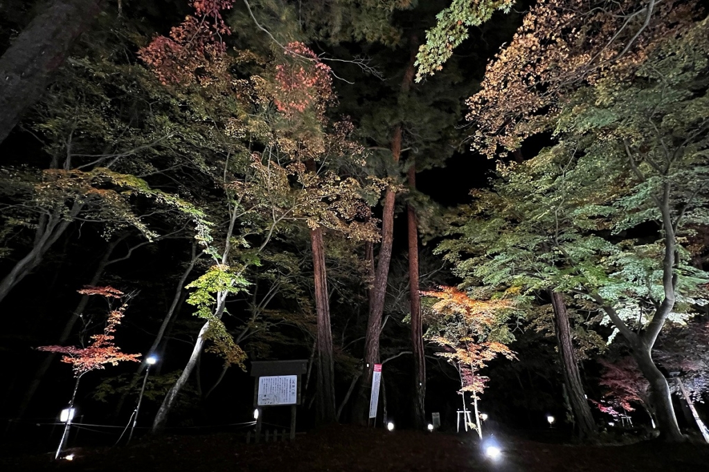 長瀞月の石もみじ公園紅葉ライトアップの画像