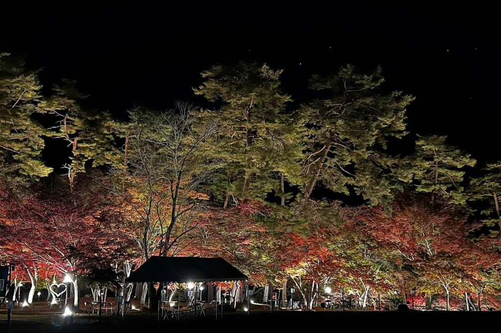 長瀞月の石もみじ公園紅葉ライトアップの画像