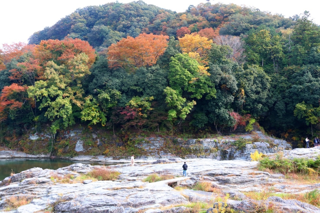 岩畳周辺紅葉の画像