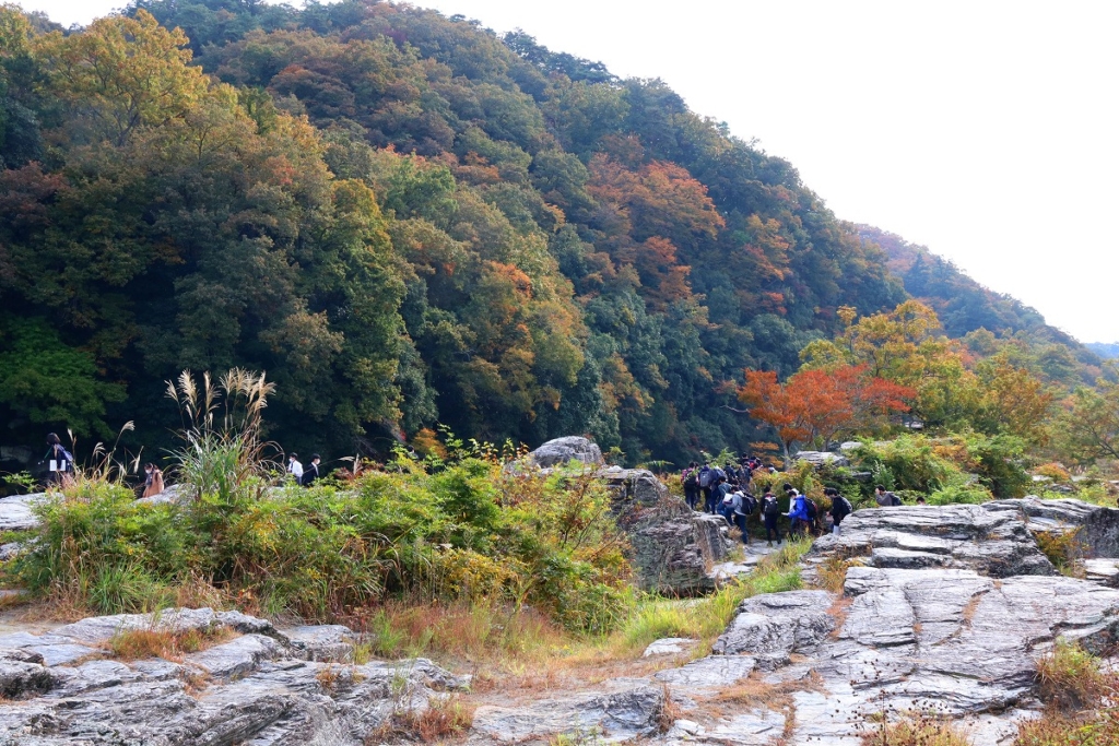 岩畳周辺紅葉の画像