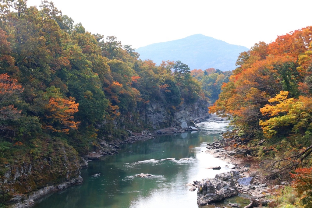 金石水管橋周辺の紅葉