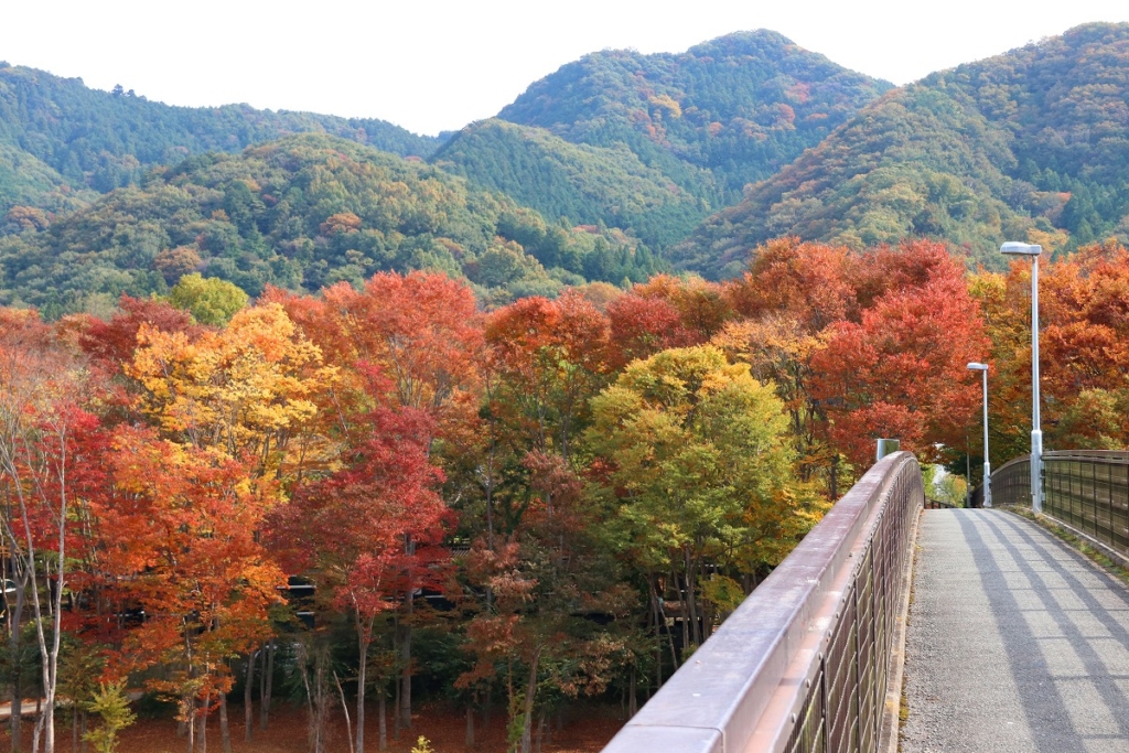 金石水管橋周辺の紅葉