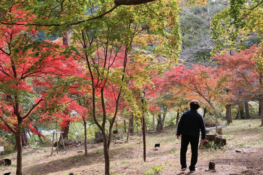 月の石もみじ公園の画像