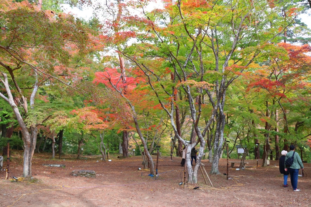 月の石もみじ公園の画像