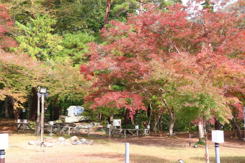 月の石もみじ公園の画像