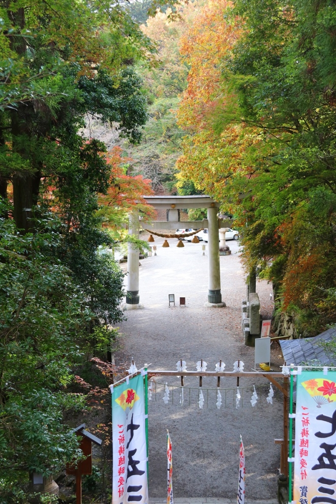 寶登山神社周辺の紅葉画像