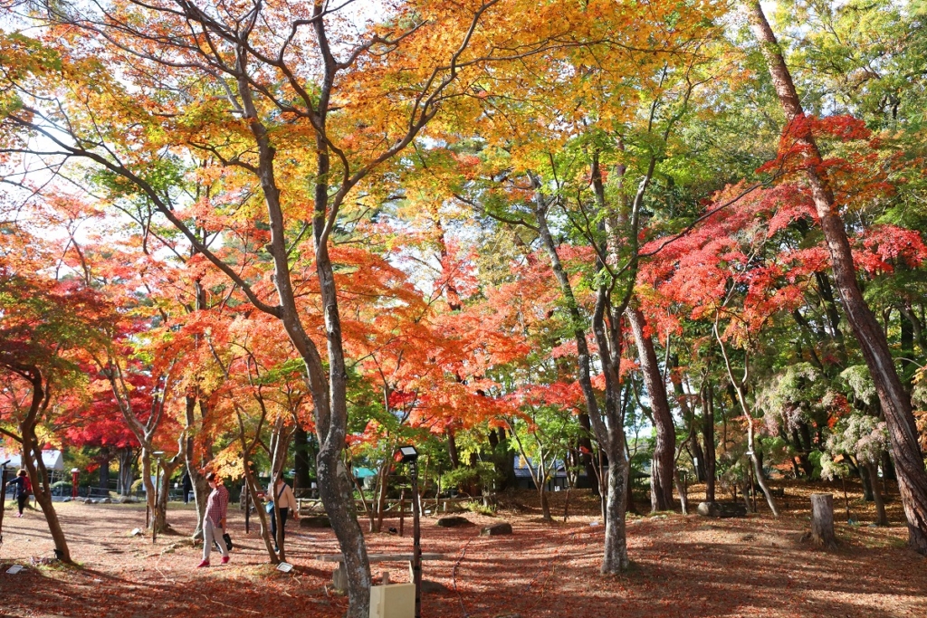 月の石もみじ公園の画像