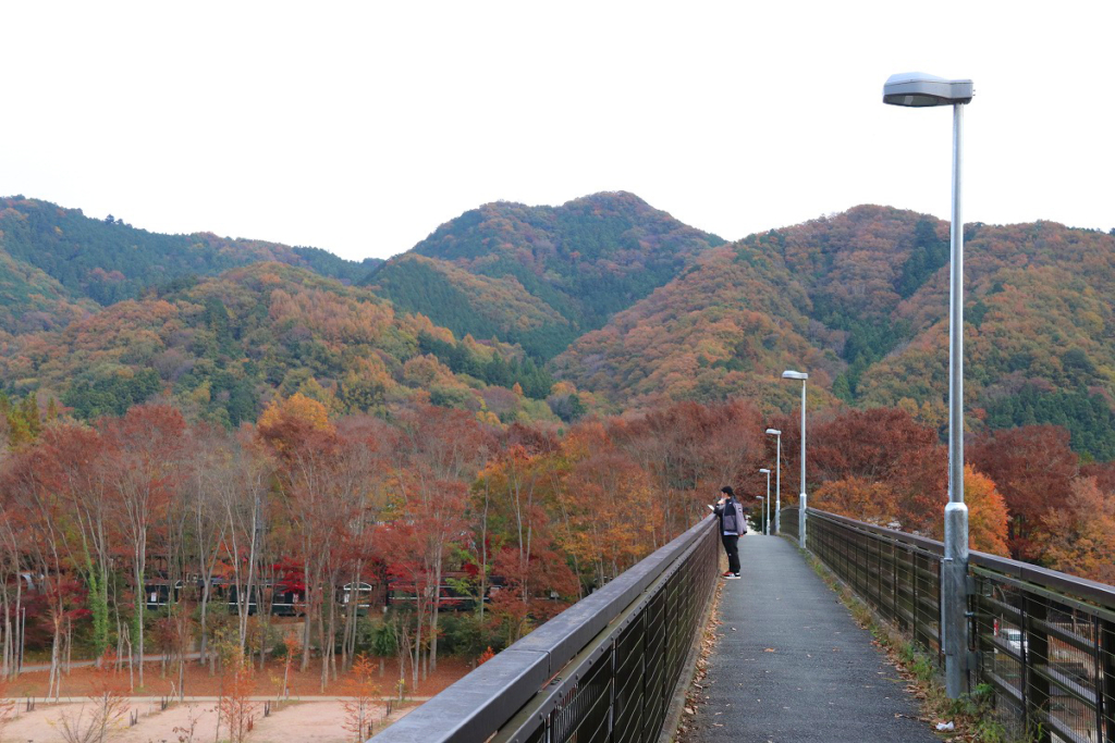 金石水管橋周辺の紅葉