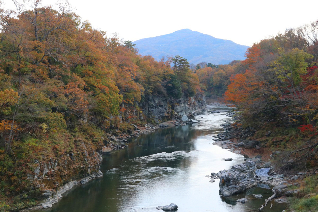 金石水管橋周辺の紅葉