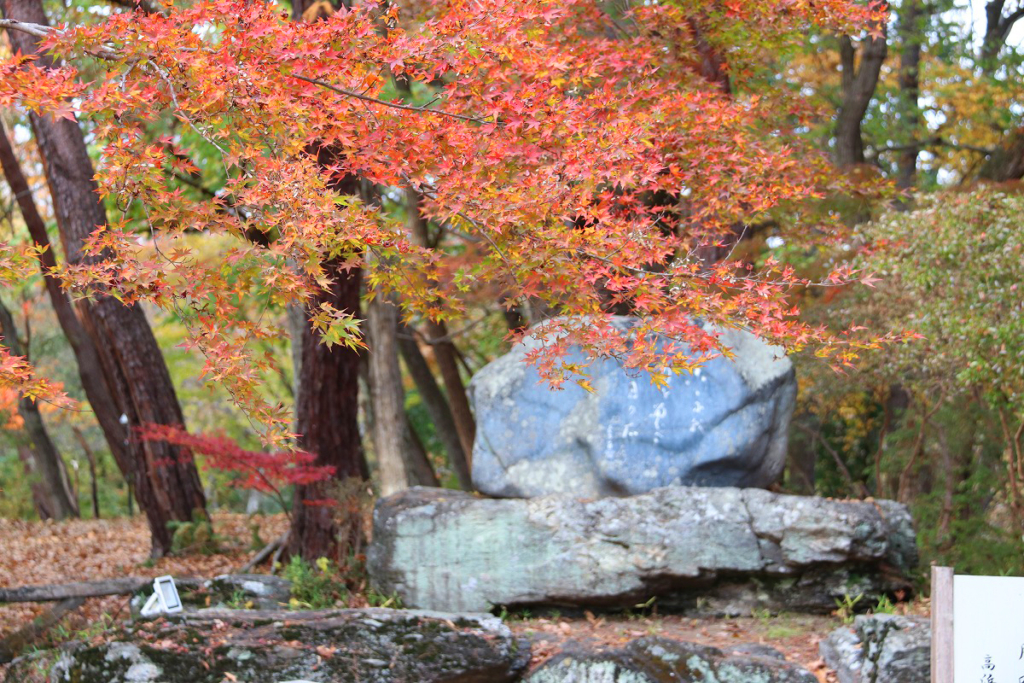 月の石もみじ公園紅葉の画像