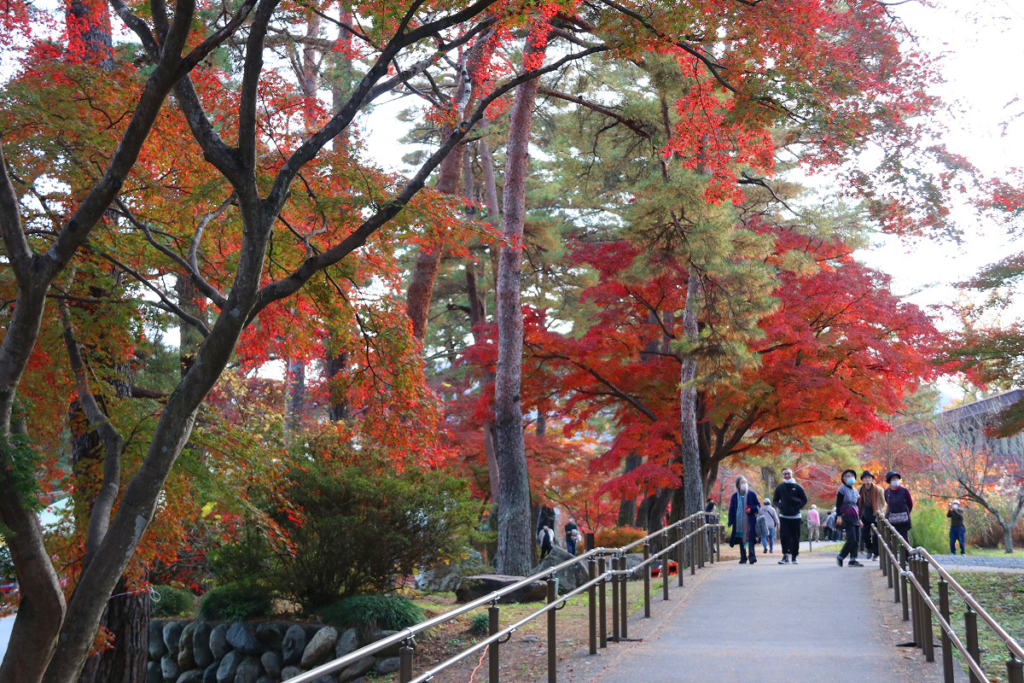 自然の博物館周辺紅葉の画像