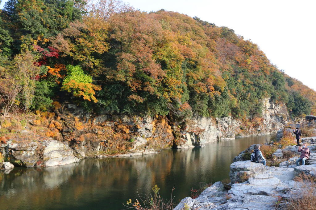 岩畳周辺紅葉の画像