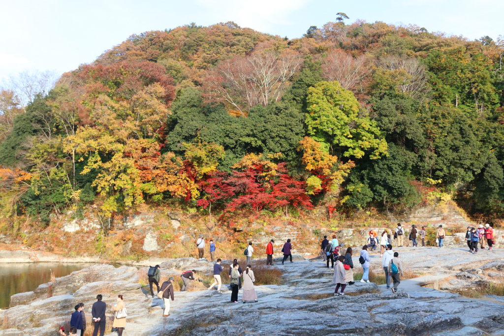 岩畳周辺紅葉の画像