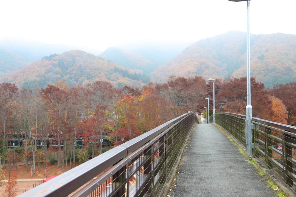 金石水管橋周辺の紅葉