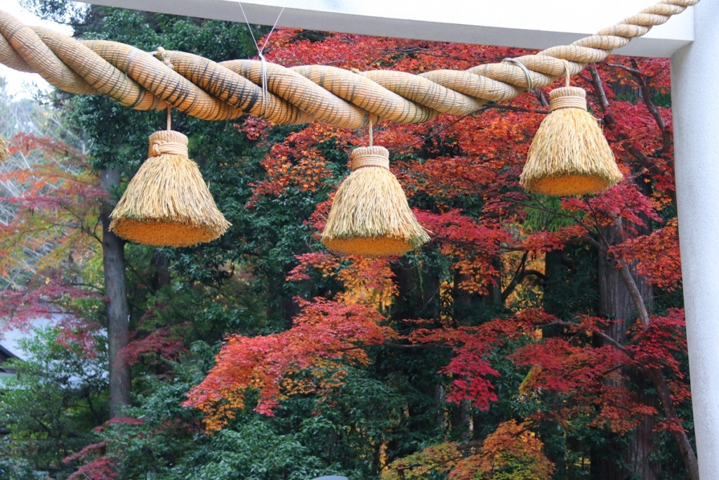 寶登山神社周辺の紅葉画像