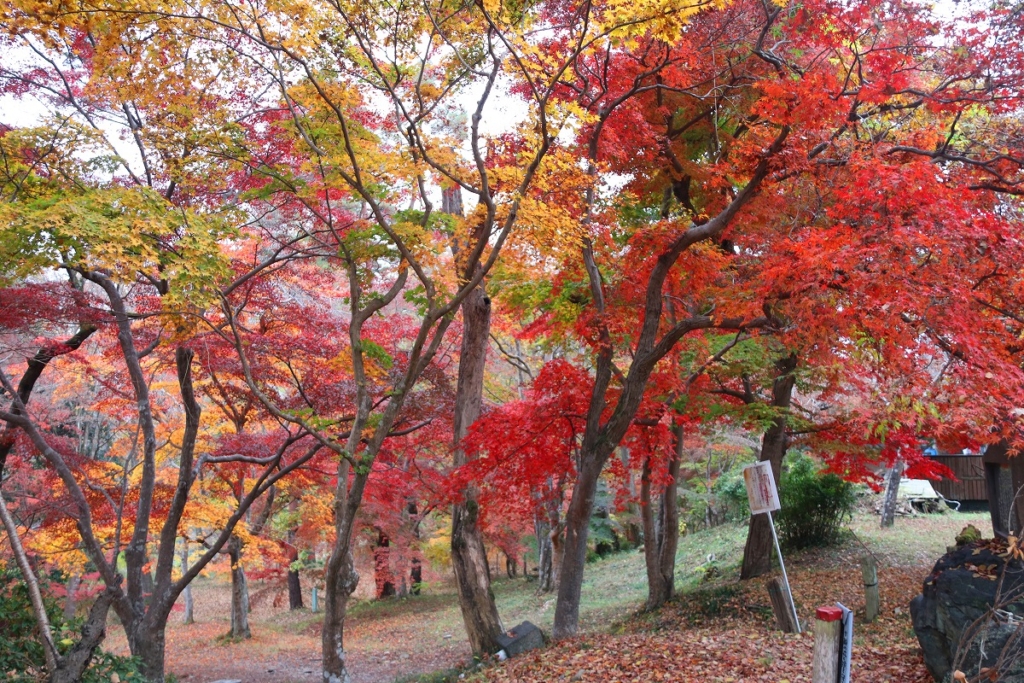 月の石もみじ公園紅葉の画像