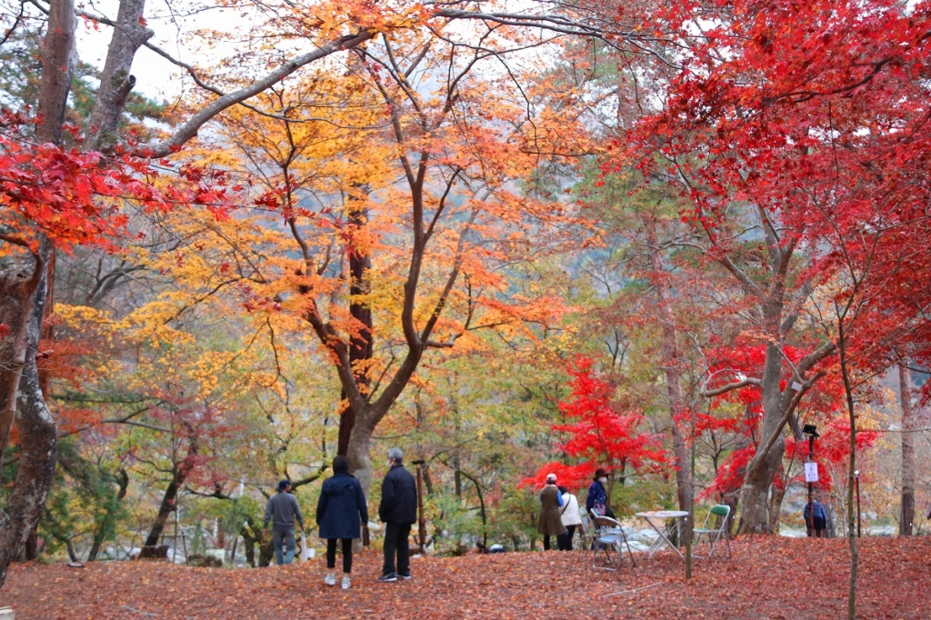 月の石もみじ公園紅葉の画像