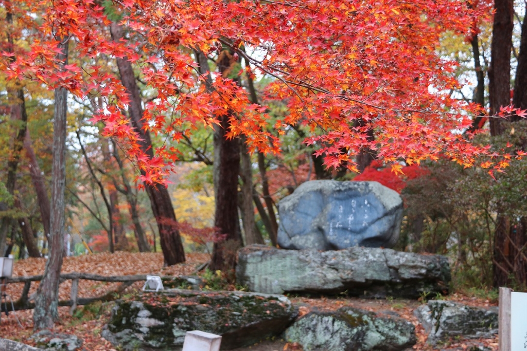 月の石もみじ公園紅葉の画像