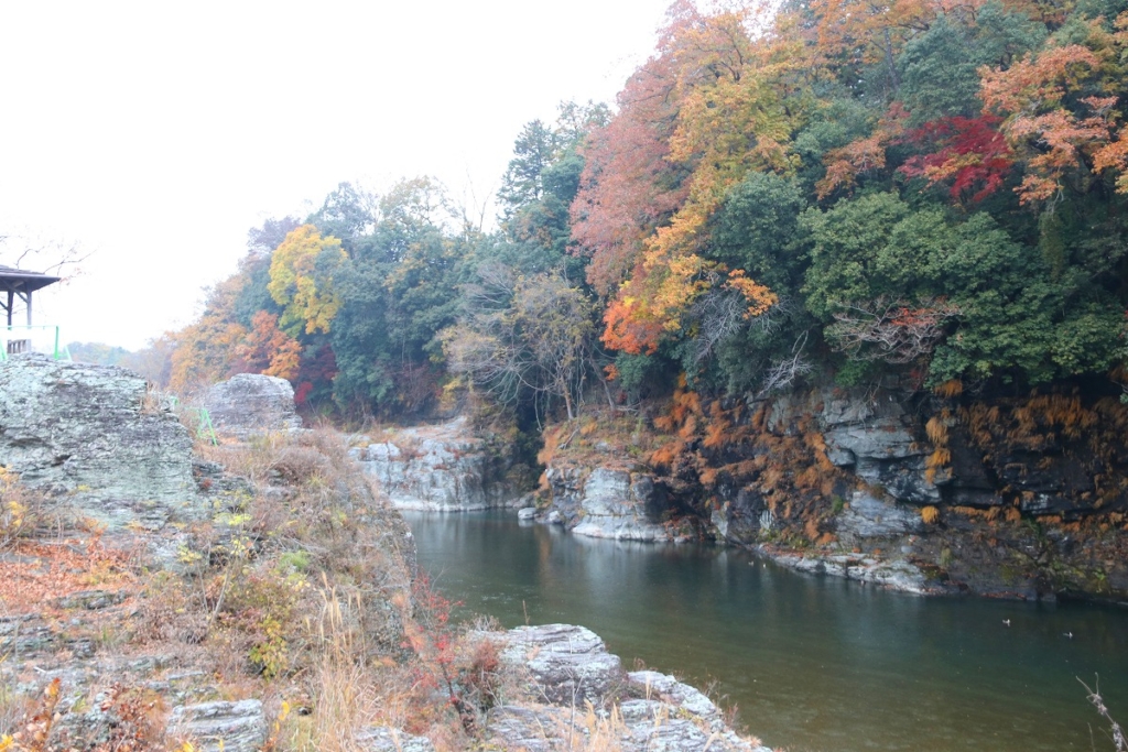 岩畳周辺紅葉の画像