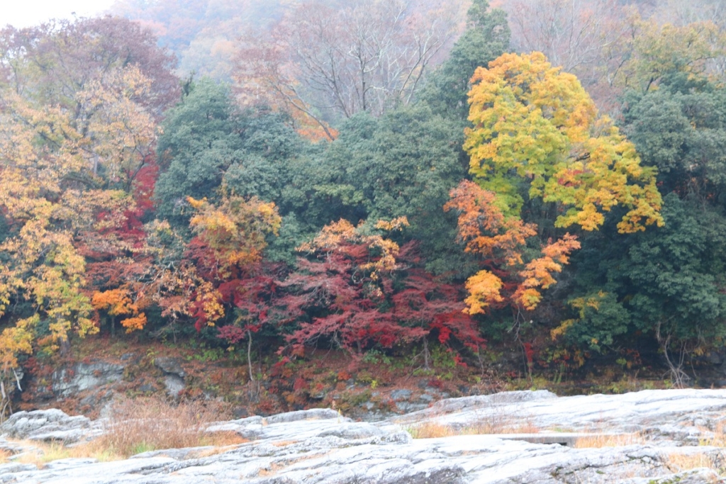 岩畳周辺紅葉の画像