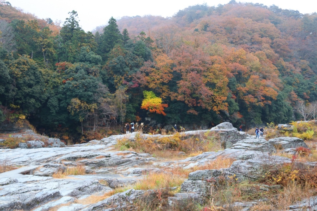 岩畳周辺紅葉の画像