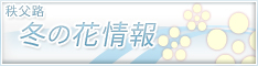 花情報