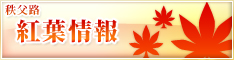 紅葉情報