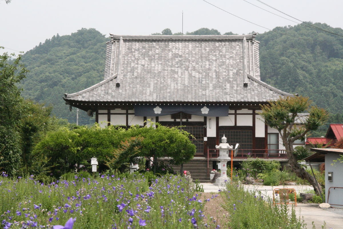 多法寺_桔梗