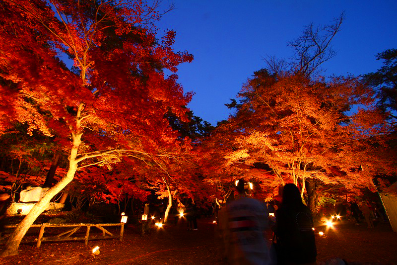 長瀞紅葉ライトアップ