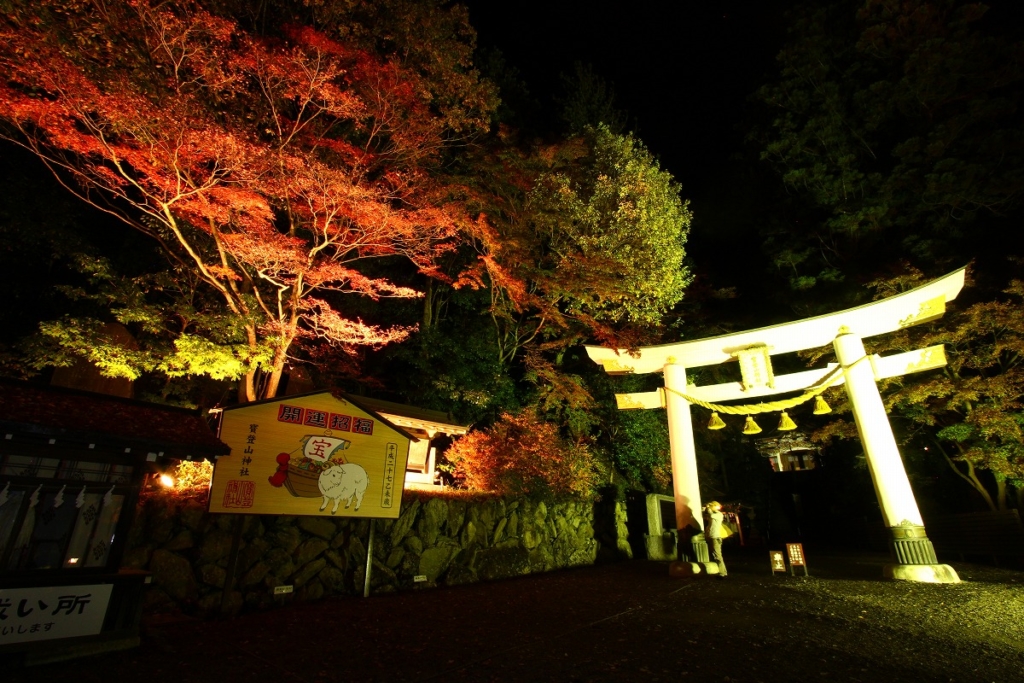 寶登山神社紅葉ライトアップ