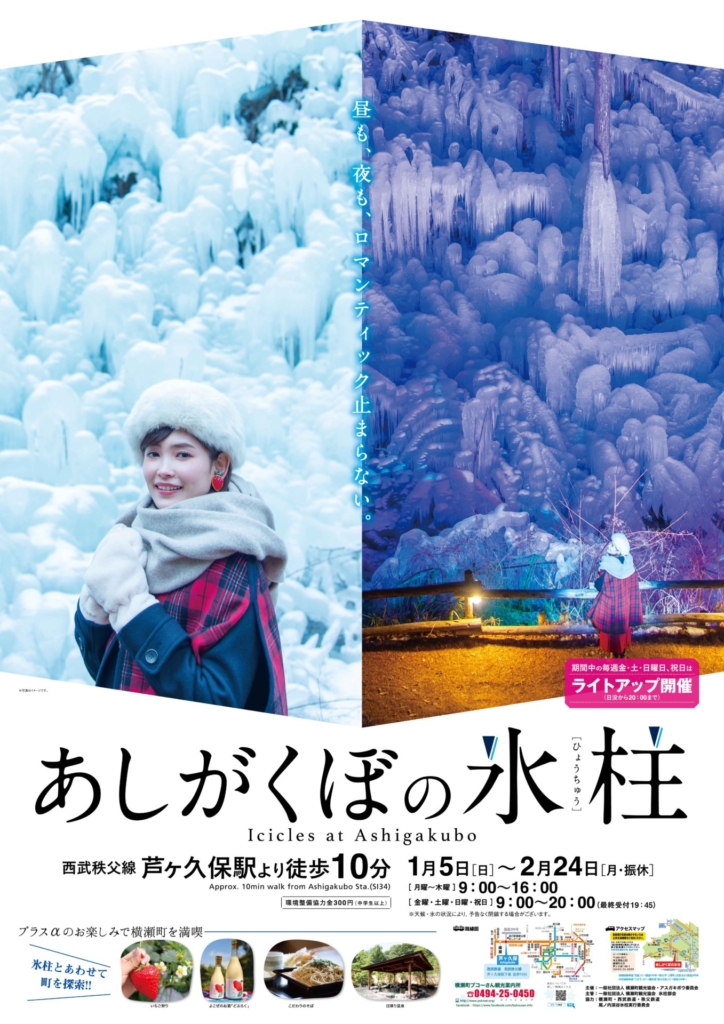 あしがくぼの氷柱2020 – Icicles at Ashigakubo –