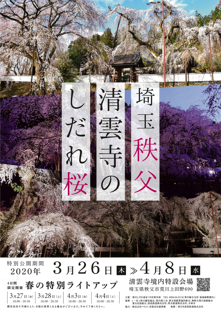 清雲寺のしだれ桜ライトアップ2020年