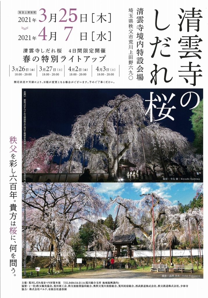 清雲寺のしだれ桜