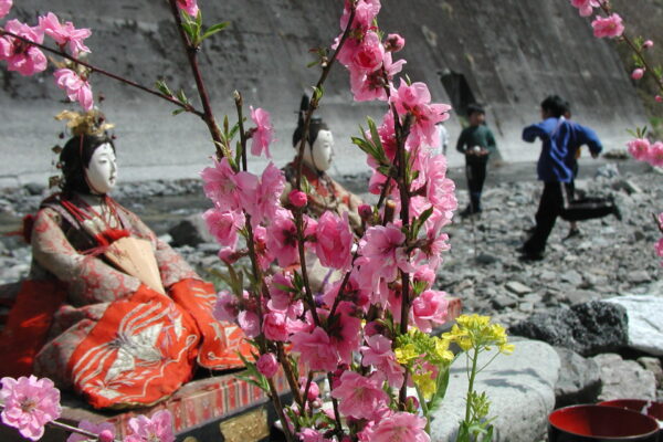河原沢のオヒナゲエ