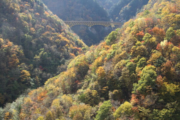 滝川渓谷紅葉