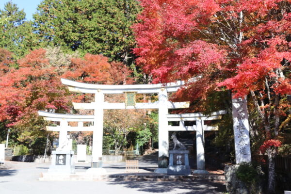 三峯神社紅葉